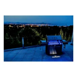 Napoleon Barbecue à Gaz Prestige 665 Inox