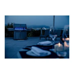 Napoleon Barbecue à Gaz Prestige Pro 665-3 Avec Housse Offerte -Verger Magique Soldes Boutique barbecue a gaz prestige pro 665 3 avec housse offerte 4