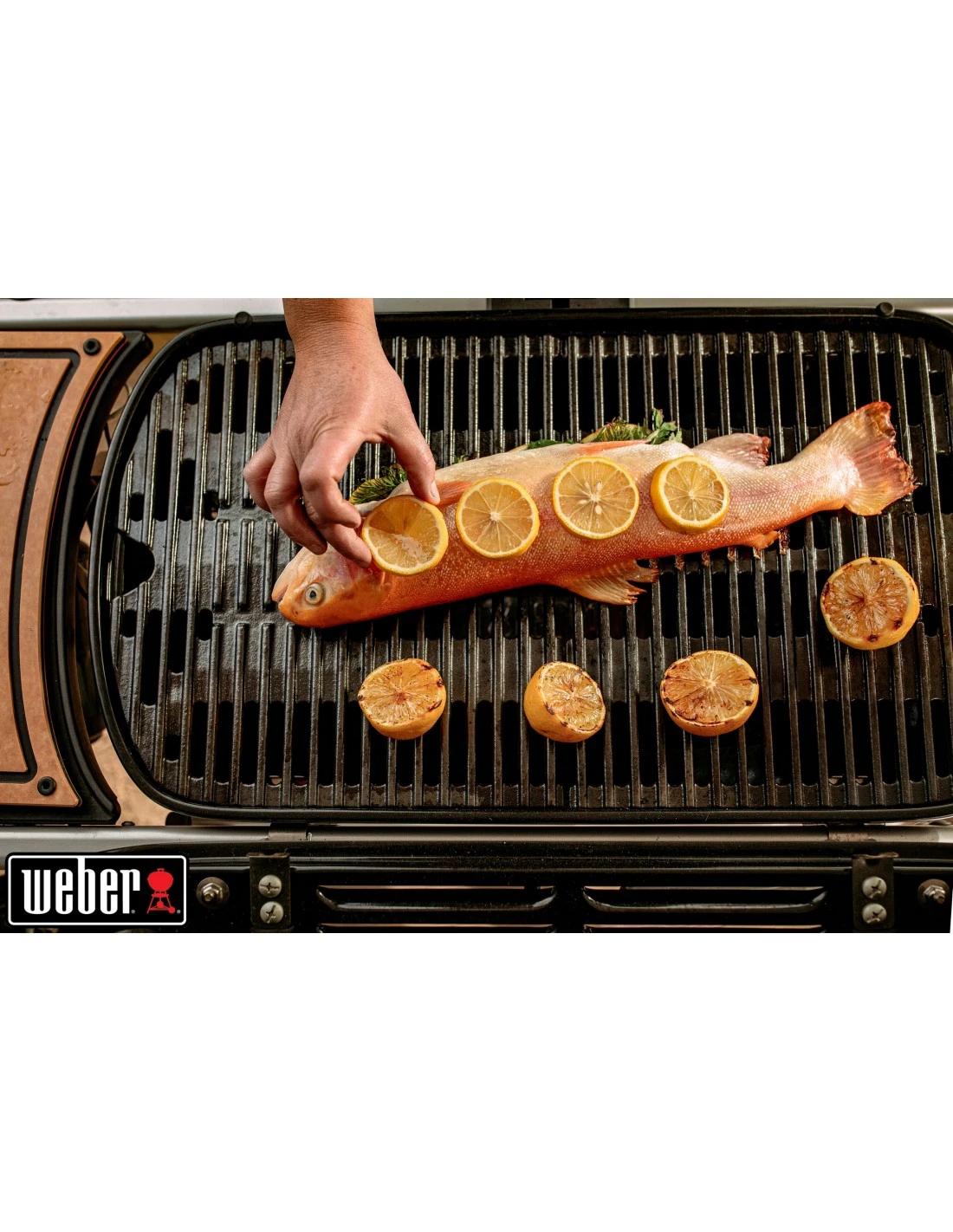 Barbecue à Gaz Weber Traveler Noir Avec Chariot 11 Barbecue à Gaz Weber Traveler Noir Avec Chariot – Image 11