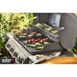 Weber Grille De Saisie Pour Séries Genesis II LX 400 Et 600 -Verger Magique Soldes Boutique grille de saisie pour series genesis ii lx 400 et 600 8