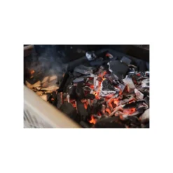 Napoleon Plateau à Charbon De Bois Et Fumaison 8 Napoleon Plateau à Charbon De Bois Et Fumaison -Verger Magique Soldes Boutique plateau a charbon de bois et fumaison 2