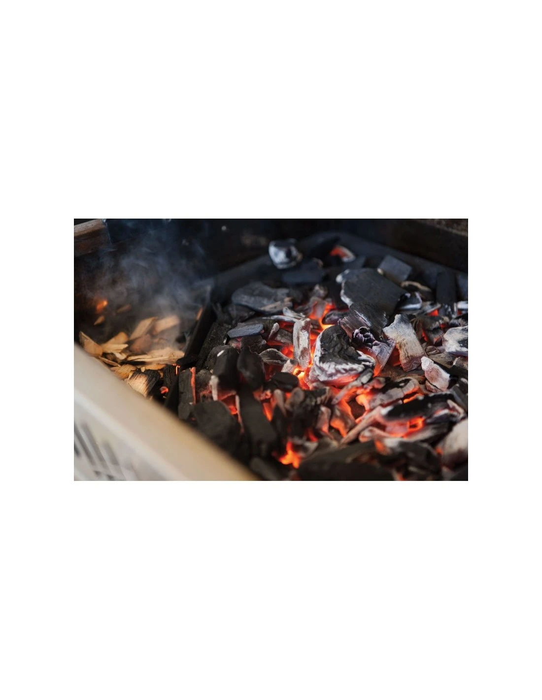 Napoleon Plateau à Charbon De Bois Et Fumaison 3 Napoleon Plateau à Charbon De Bois Et Fumaison – Image 3