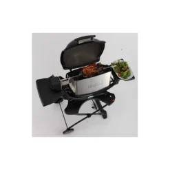 Rôtissoire Pour Barbecues Gaz Q 2000 Et 2200 - Weber 10 Rôtissoire Pour Barbecues Gaz Q 2000 Et 2200 - Weber -Verger Magique Soldes Boutique rotissoire pour barbecues gaz q 2000 et 2200 weber 3