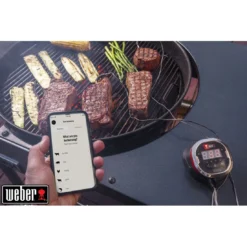 Thermomètre IGrill 2 - Weber -Verger Magique Soldes Boutique thermometre igrill 2 weber 12