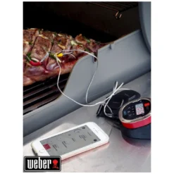 Thermomètre IGrill 2 - Weber -Verger Magique Soldes Boutique thermometre igrill 2 weber 13