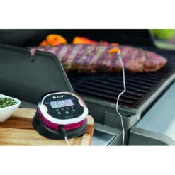 Thermomètre IGrill 2 - Weber -Verger Magique Soldes Boutique thermometre igrill 2 weber 9